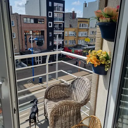 Superbe à * Koksijde