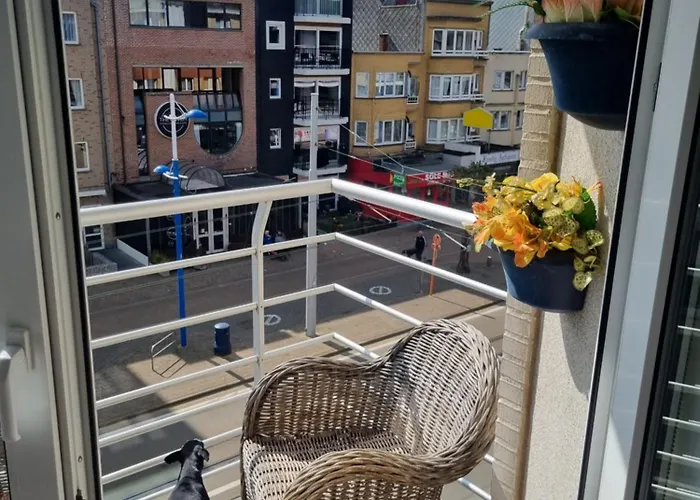 Superbe A * Koksijde